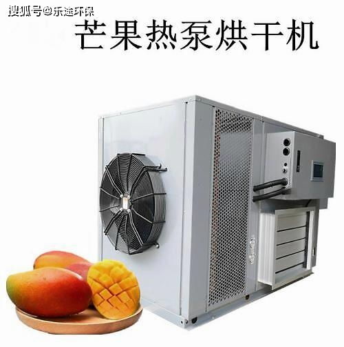 食品烘干设备 水果烘干设备之芒果烘干机的选型