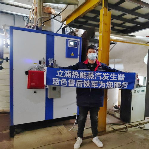 立浦热能商用燃气蒸汽发生器300kg酿酒豆腐煮豆浆蒸馒头温控燃气蒸汽锅炉lws0.3 0.7 y q 谷瀑环保
