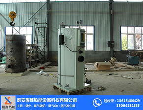 小型电热蒸汽发生器 蒸汽发生器 隆鑫热能设备
