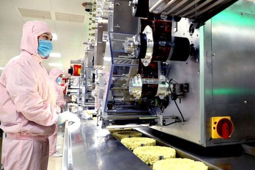 年产140亿份，河北农业县崛起全球最大方便面生产基地背后的热能装备支撑